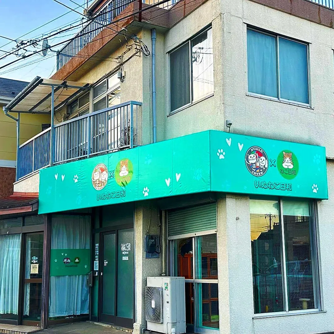 ✨🚀【看板制作の才能、ジェットサインで磨きませんか？】🎨
