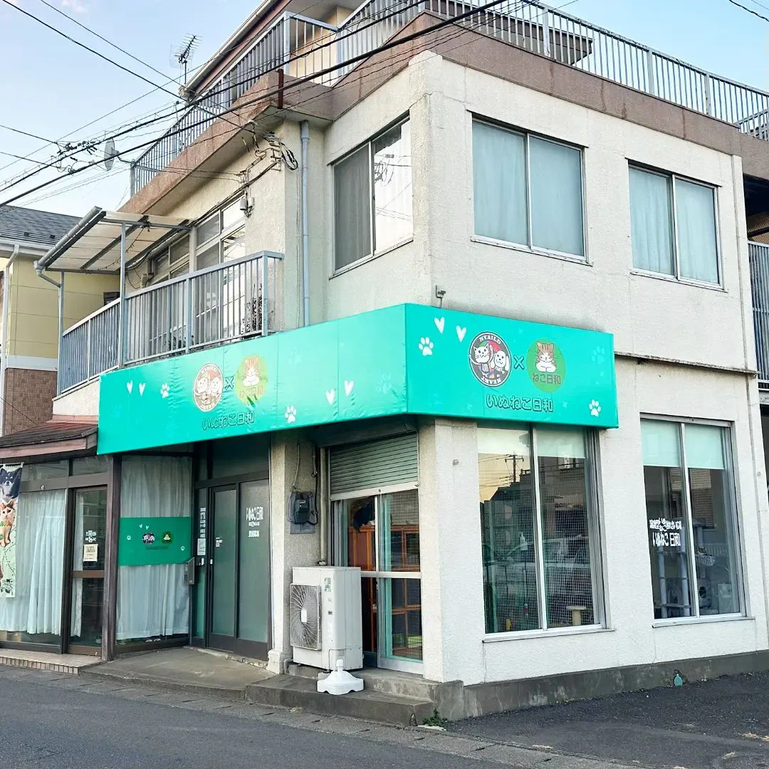 🌈 才能と創造のフィールドへようこそ！埼玉・西東京で一緒に夢...