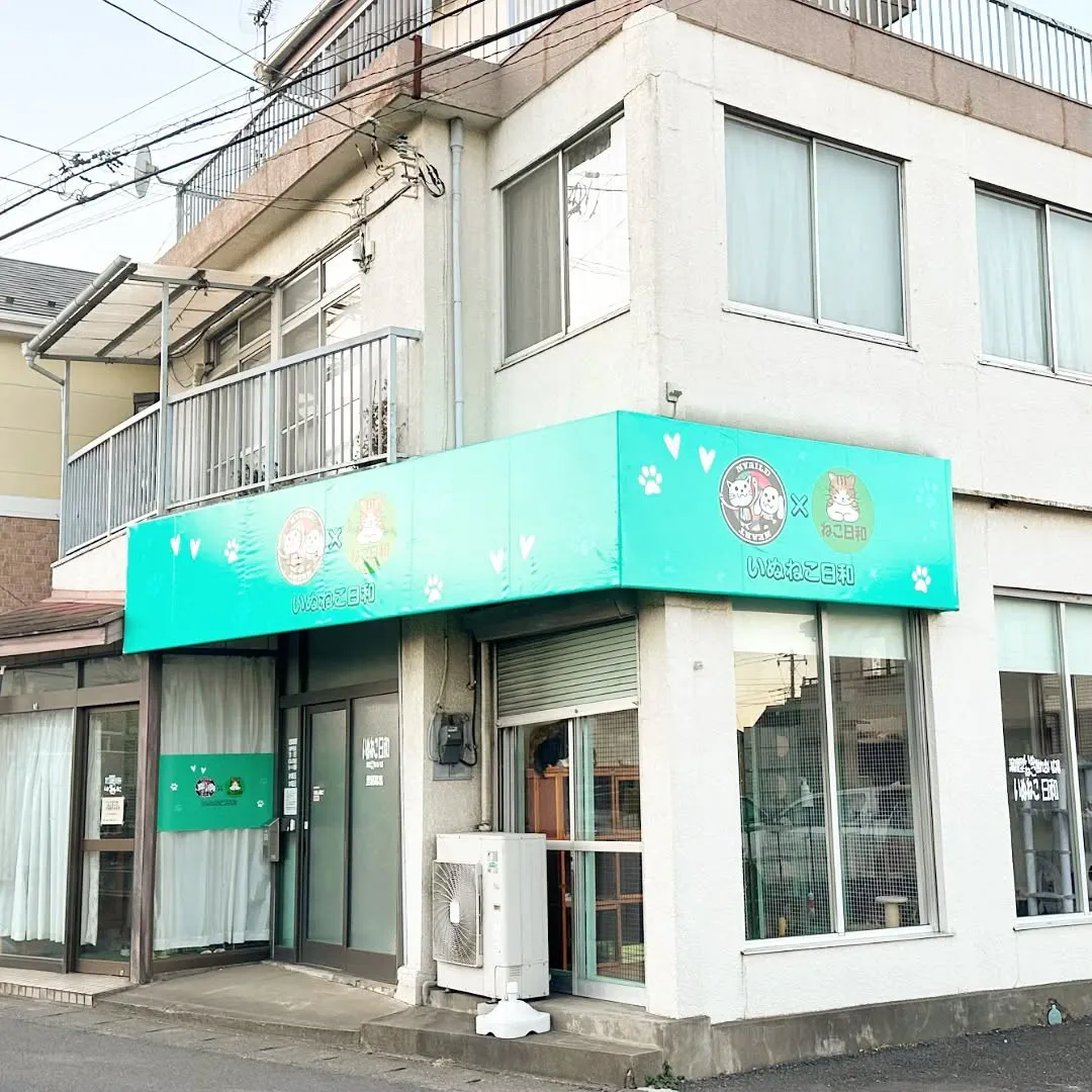 店舗の顔のメンテナンス🪞 #看板メンテナンス