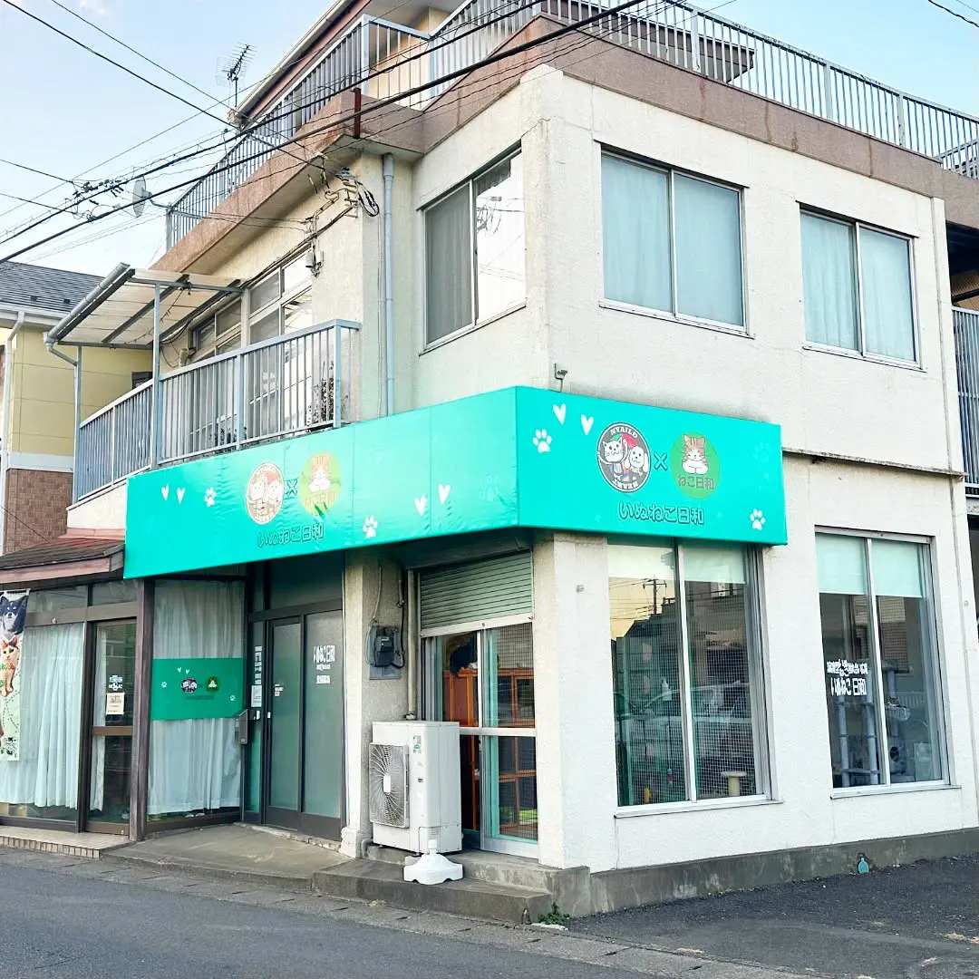後悔しない #職選び